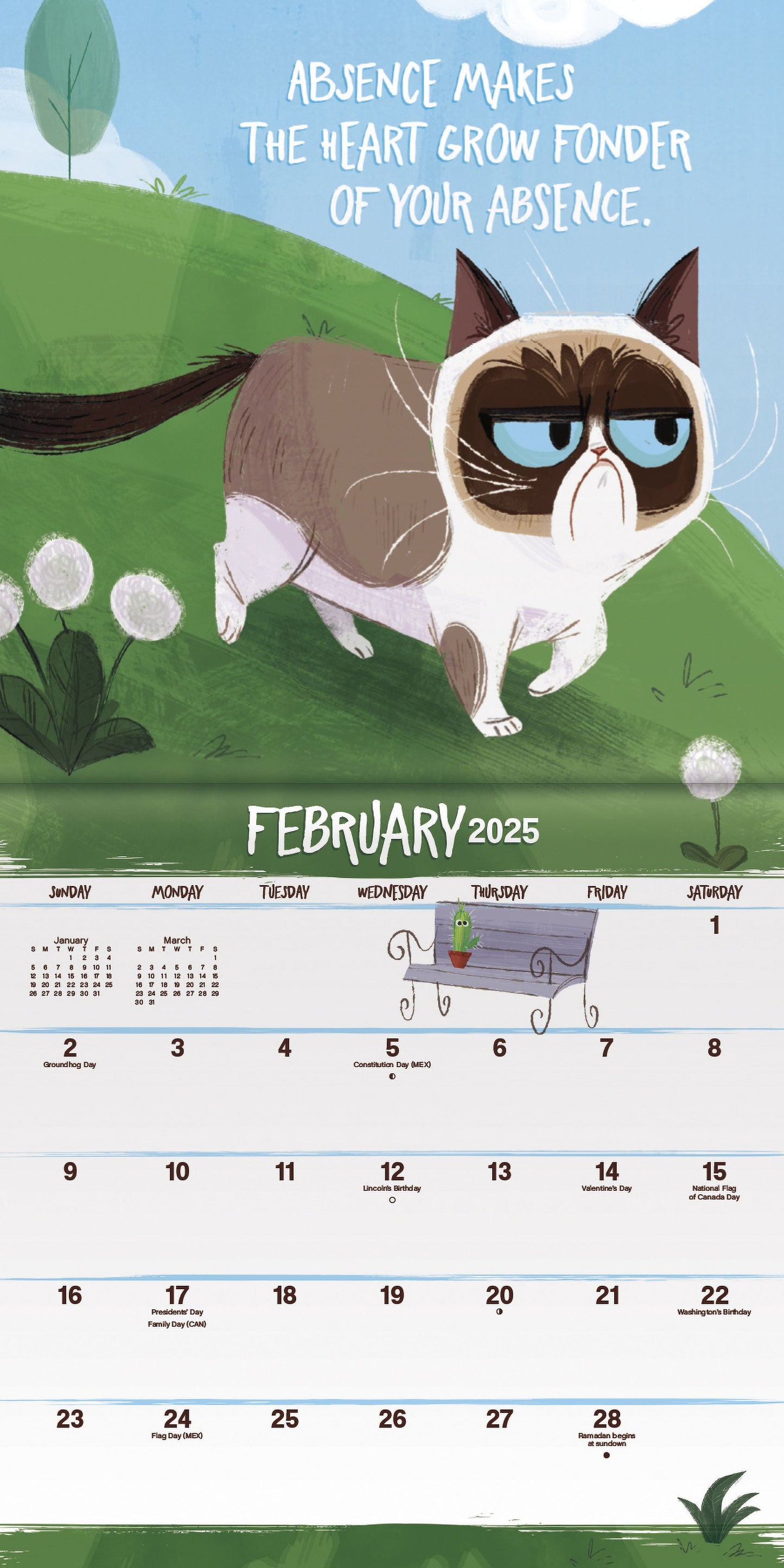 2025 Grumpy Cat Mini Calendar & Push Pins