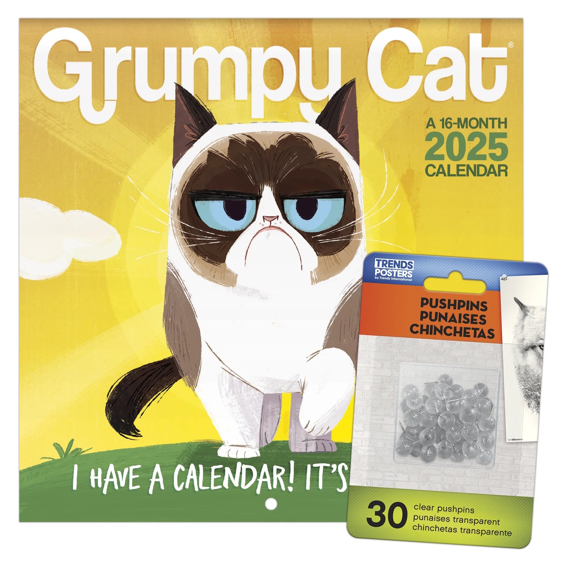 2025 Grumpy Cat Mini Calendar & Push Pins