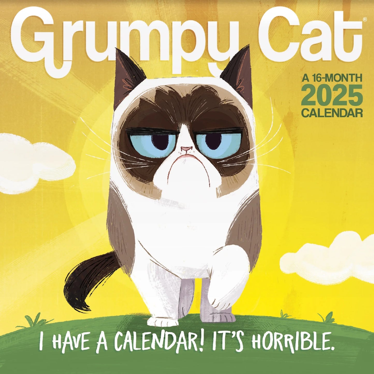 2025 Grumpy Cat Mini Calendar & Push Pins