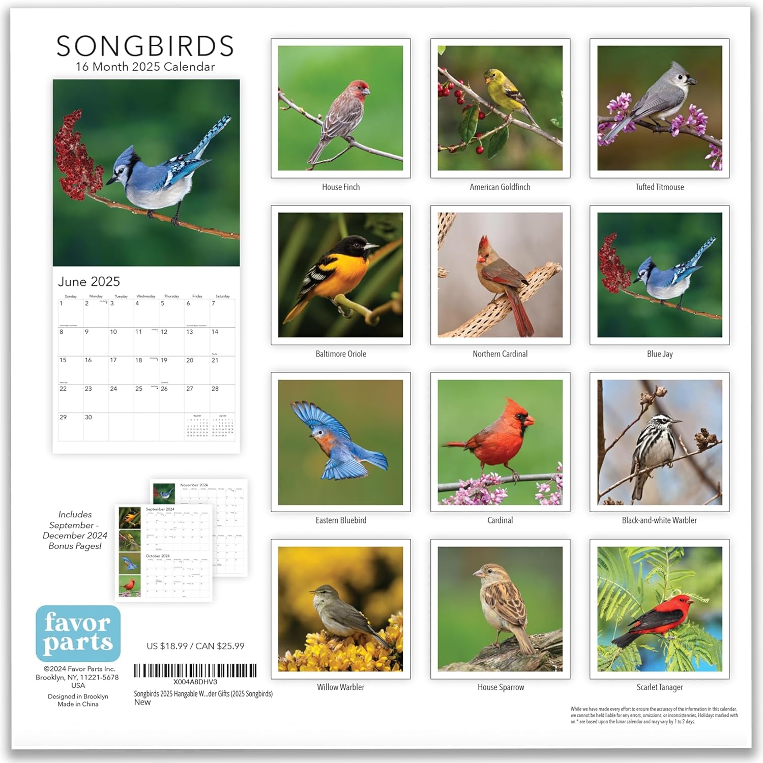 Songbirds 2025 Hangable Wall Calendar Monthly Beautiful Wildlife Bird Photo Gift