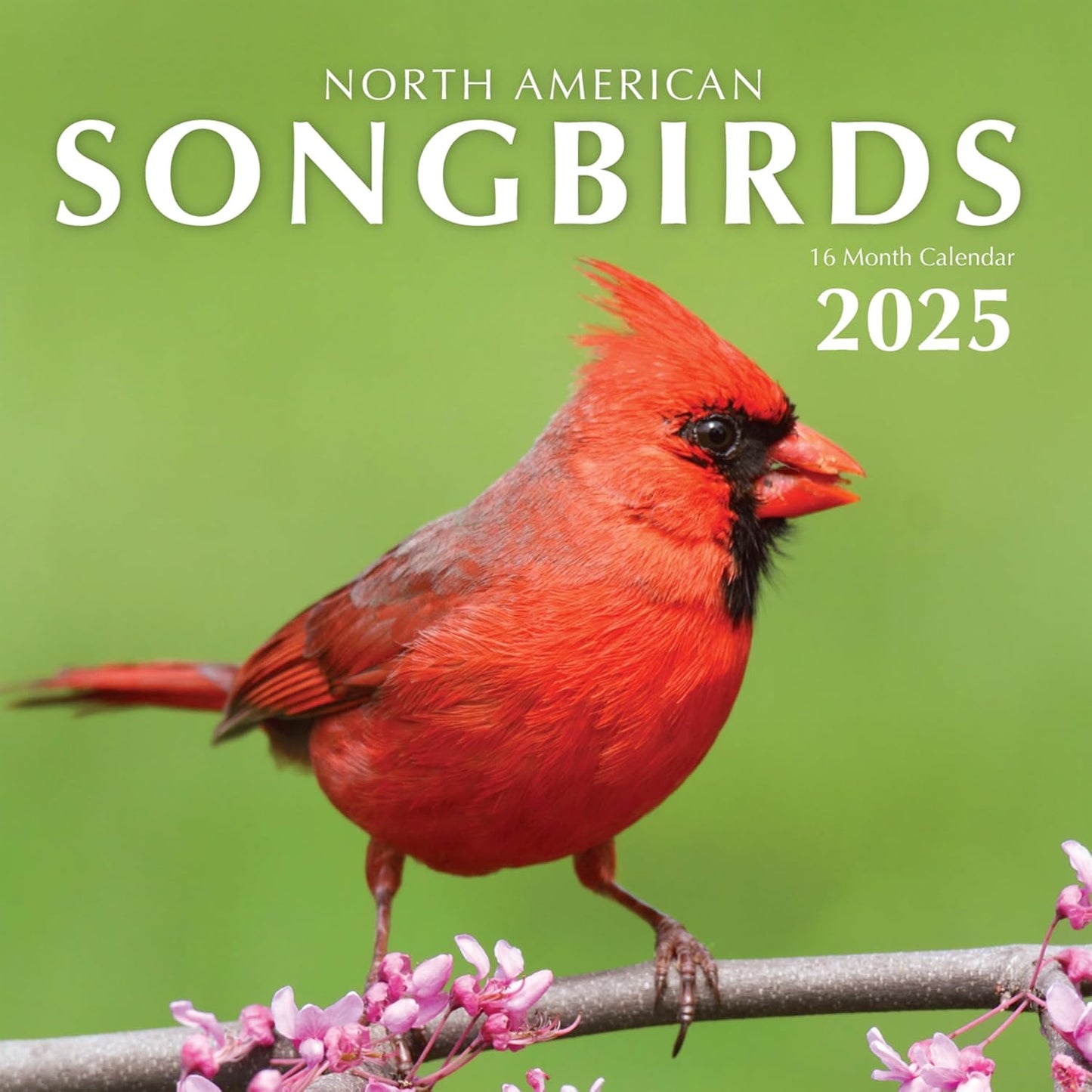 Songbirds 2025 Hangable Wall Calendar Monthly Beautiful Wildlife Bird Photo Gift