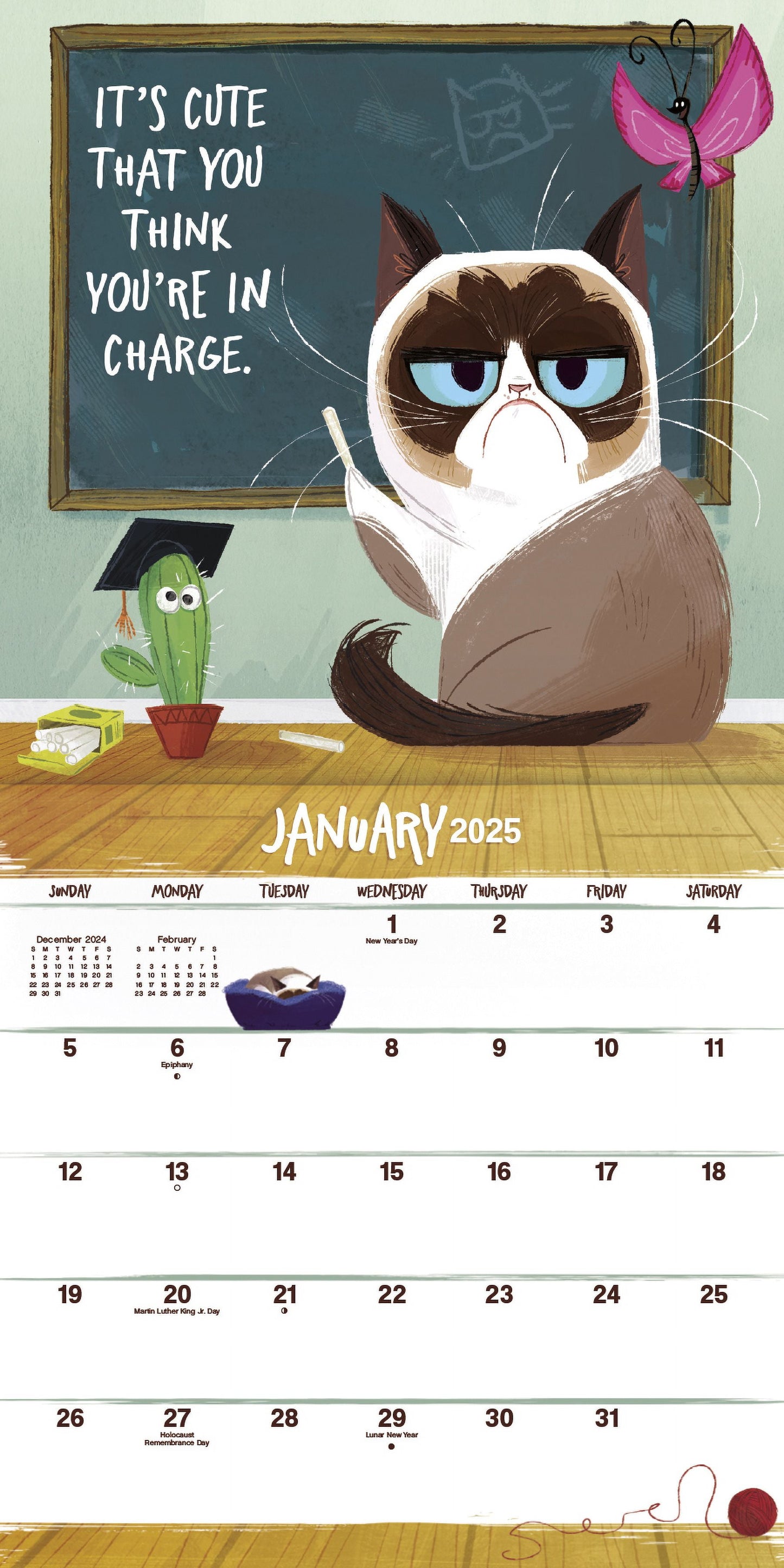 2025 Grumpy Cat Mini Calendar & Push Pins