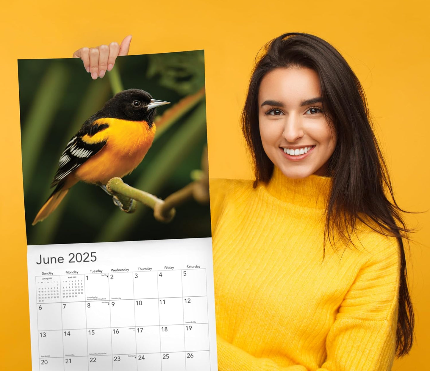 Songbirds 2025 Hangable Wall Calendar Monthly Beautiful Wildlife Bird Photo Gift