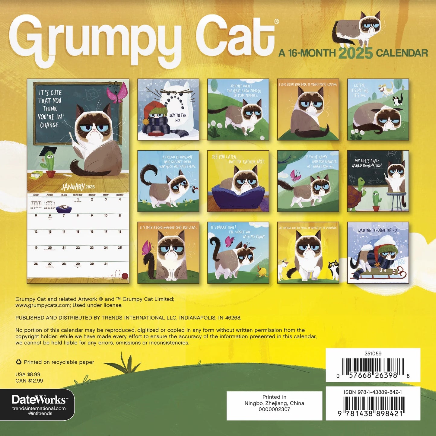 2025 Grumpy Cat Mini Calendar & Push Pins