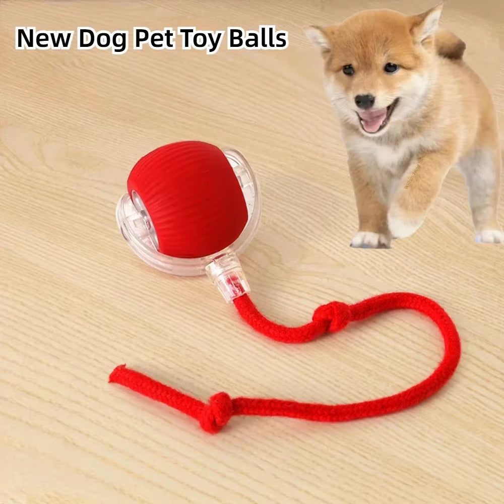 Interactive Dog Toys Rechargeable Pet Interactive Toys Electric Cats Ball Automatic Rolling Fake Tail Ball Dog Cats Toy