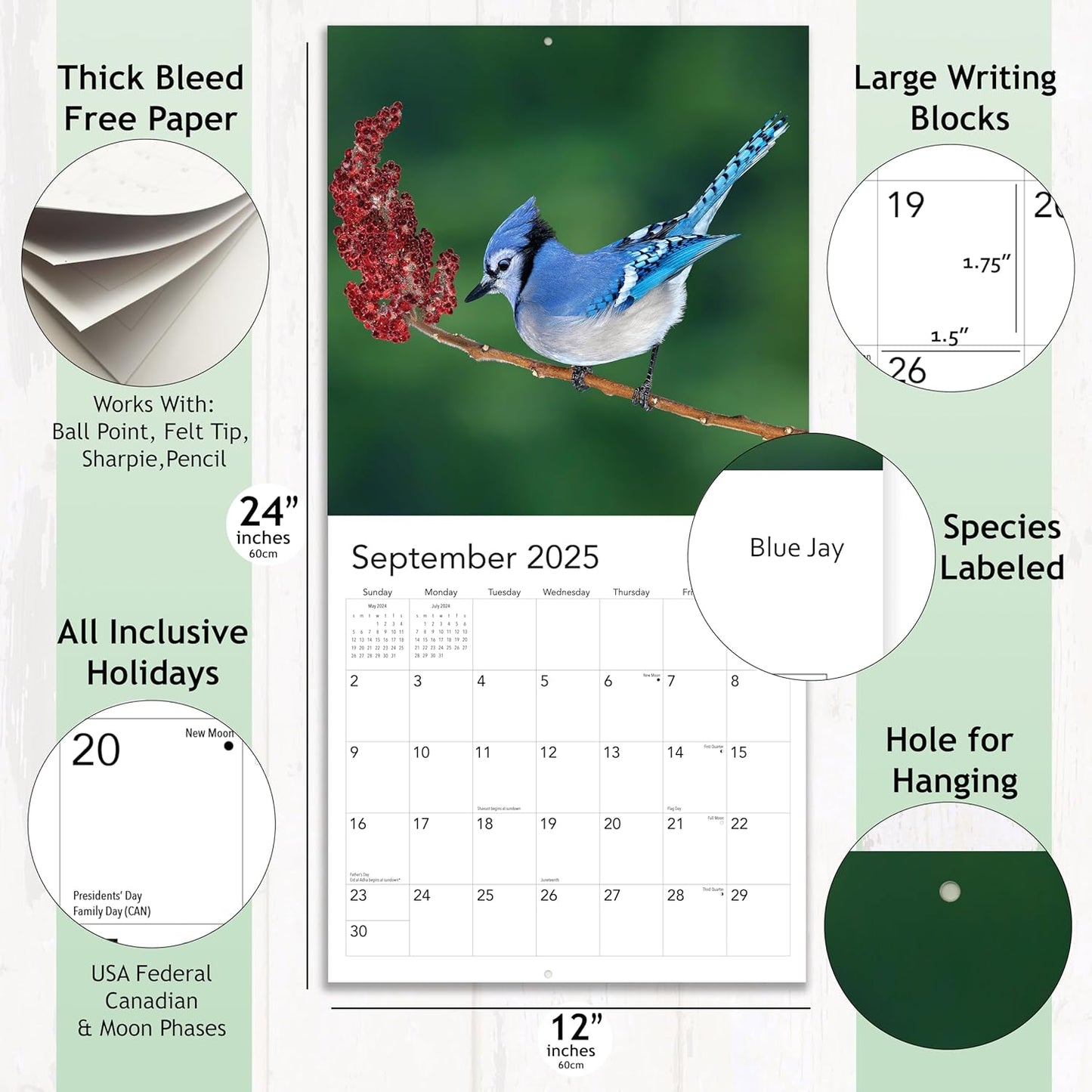 Songbirds 2025 Hangable Wall Calendar Monthly Beautiful Wildlife Bird Photo Gift